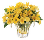 Brighten spirits with flowers for your office