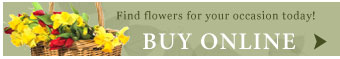 Buy flowers on line from Meme's Florist