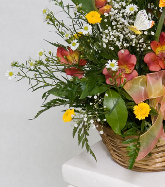 Sympathy flower delivery, Saratoga Springs, Clifton Park, Glens Falls NY